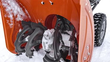 XU-083031.jpeg (18 KB)